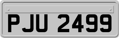 PJU2499