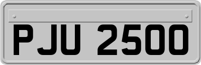 PJU2500