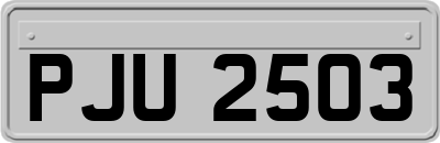 PJU2503