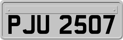 PJU2507
