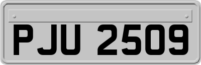 PJU2509