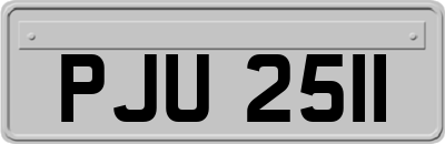 PJU2511