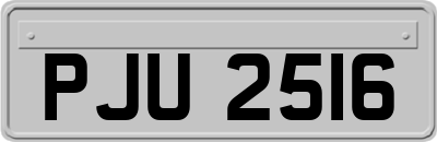 PJU2516
