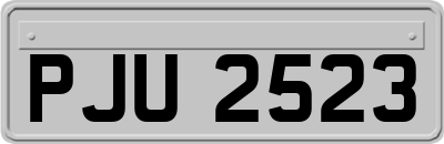 PJU2523