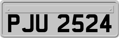 PJU2524