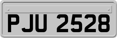 PJU2528