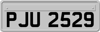 PJU2529