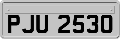 PJU2530
