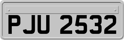 PJU2532