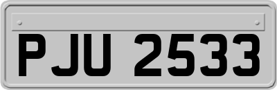 PJU2533