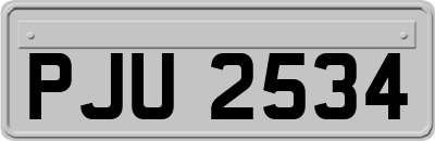 PJU2534