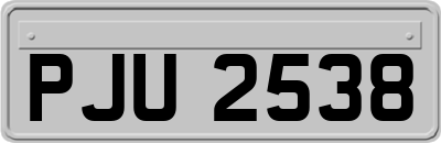 PJU2538