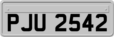 PJU2542