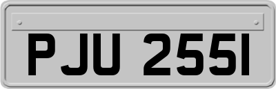 PJU2551
