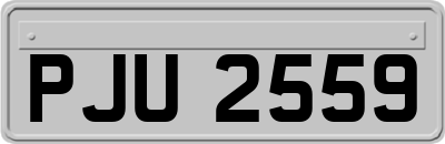 PJU2559