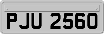 PJU2560