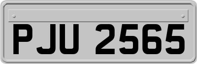 PJU2565