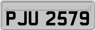 PJU2579