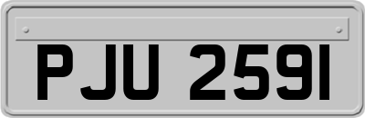 PJU2591