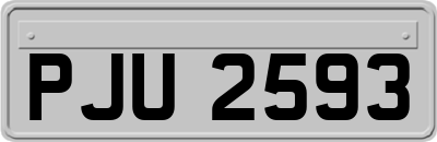 PJU2593