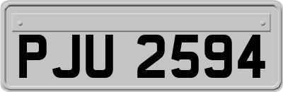 PJU2594