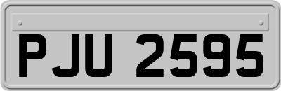 PJU2595