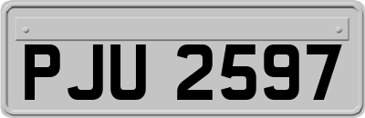 PJU2597