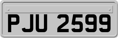 PJU2599