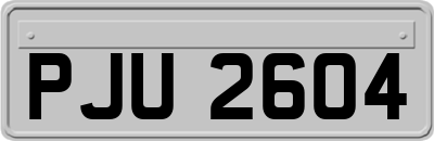 PJU2604