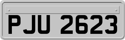 PJU2623