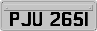 PJU2651