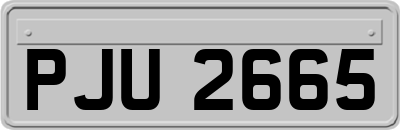 PJU2665