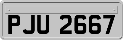 PJU2667