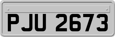 PJU2673
