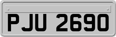 PJU2690