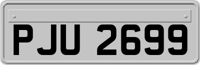 PJU2699