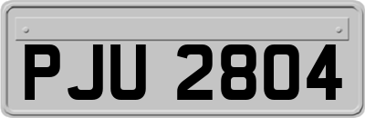 PJU2804