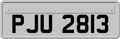 PJU2813