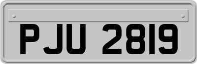 PJU2819