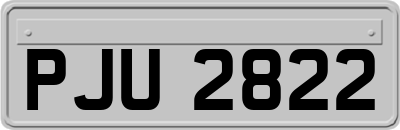 PJU2822
