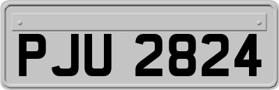 PJU2824
