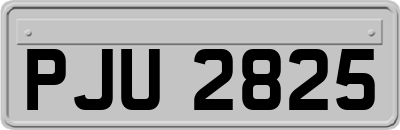 PJU2825