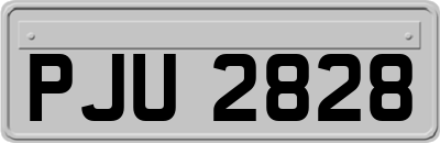 PJU2828