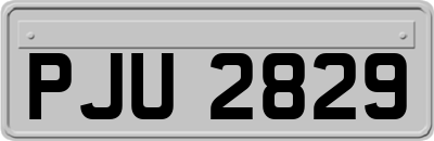 PJU2829