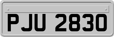 PJU2830