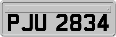 PJU2834