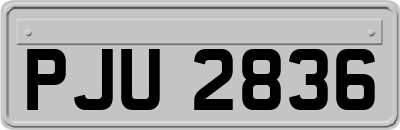 PJU2836