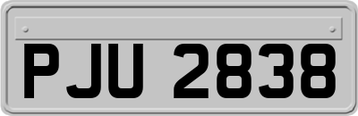 PJU2838