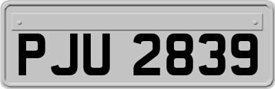 PJU2839