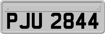 PJU2844